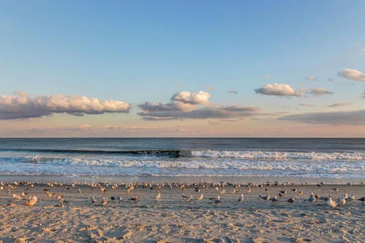 *Oceanfront Sun & Fun*Queen Beds*Pools*Hot Tubs*More*B118 Myrtle Beach Esterno foto